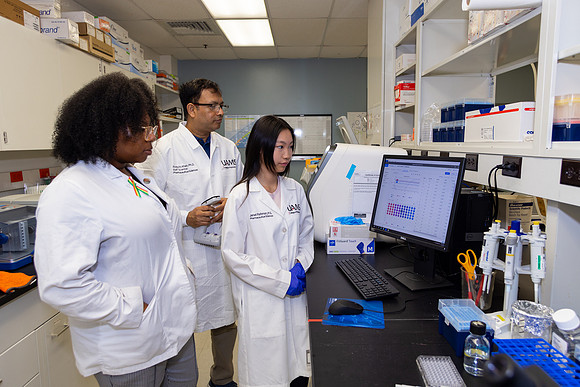Imig_Lab_2025-26