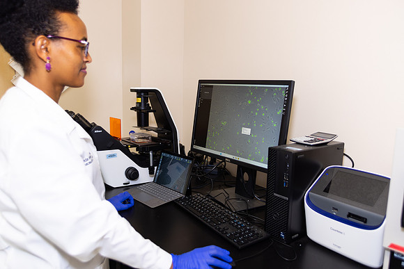 Imig_Lab_2025-21