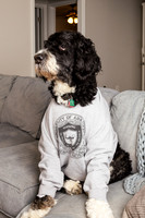 ThompsonFamily_Moose-1