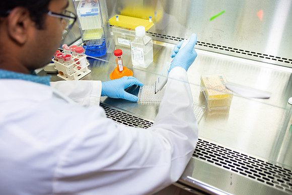 Imig_Lab_2025-17