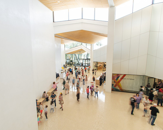 Arkansas Museum of Fine Arts