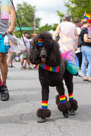 SoMa_Pride_Parade_2025-230