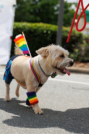 SOMA_Pride_Parade_2024-36