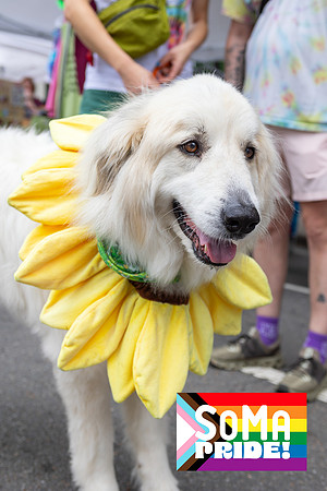 SoMa_Pride_Parade_2025-85