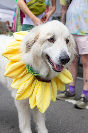 SoMa_Pride_Parade_2025-85