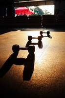 TFX_TDN_Activate_Fitness_Focus501-01