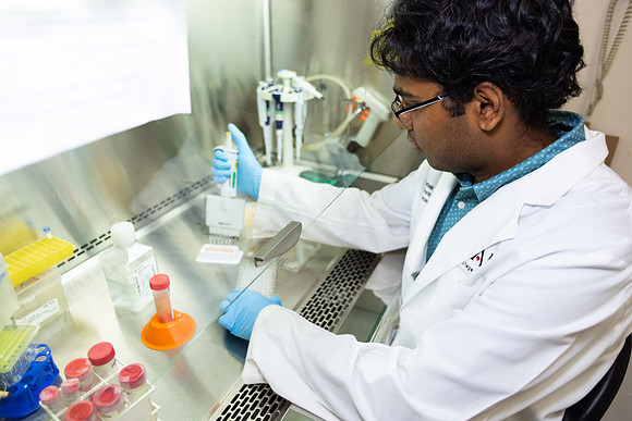 Imig_Lab_2025-15