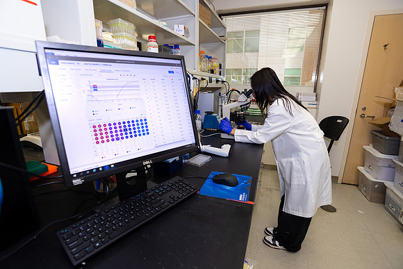 Imig_Lab_2025-28