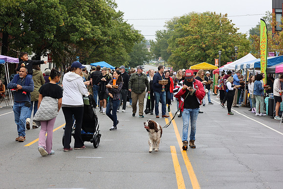 CornbreadFestival2024-119