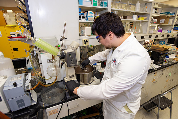 Imig_Lab_2025-29