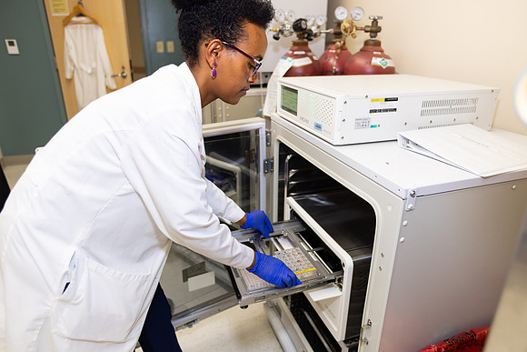 Imig_Lab_2025-20