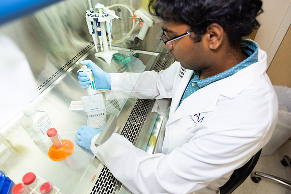 Imig_Lab_2025-16