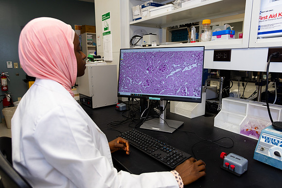 Imig_Lab_2025-23