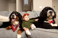 ThompsonFamily_Moose-8