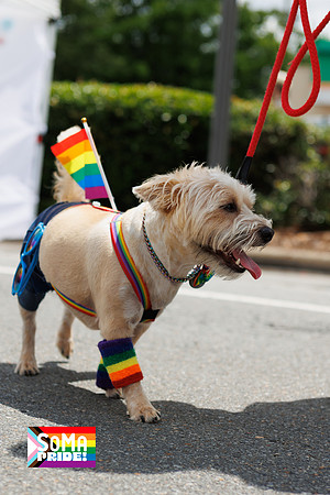 SOMA_Pride_Parade_2024-36